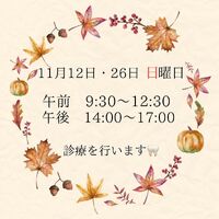 ブログ画像