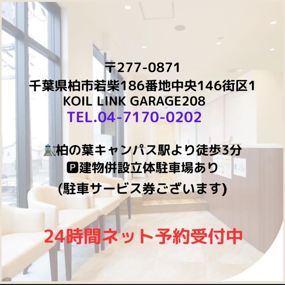 ブログ画像