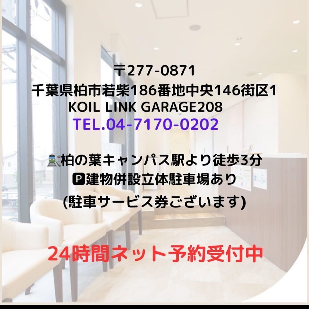 ブログ画像